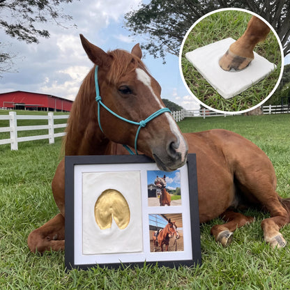 ForeverHooves Clay Kit