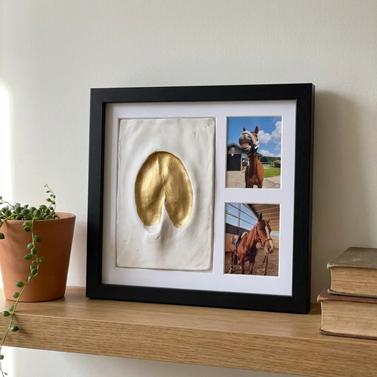 ForeverHooves Clay Kit